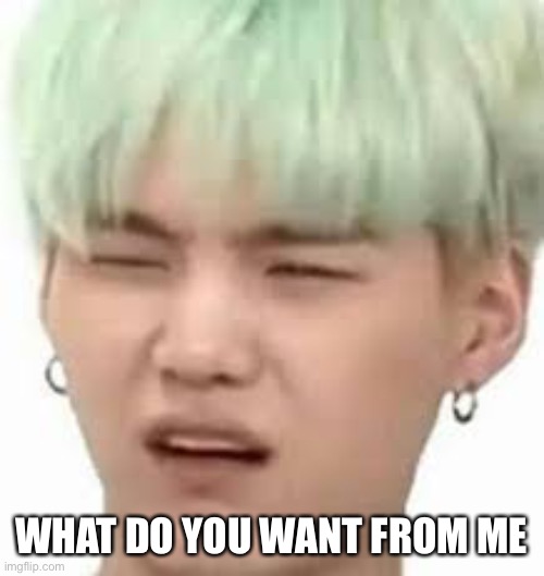 aRMY??? | WHAT DO YOU WANT FROM ME | image tagged in army | made w/ Imgflip meme maker