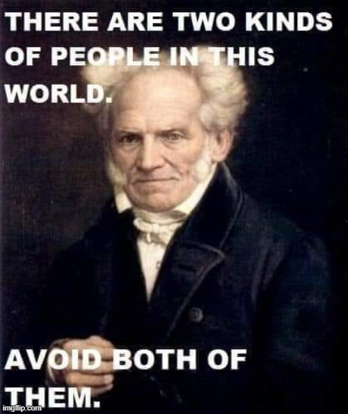 Schopenhauer | image tagged in philosophy,people,advice | made w/ Imgflip meme maker