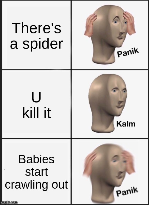 PaNiK | There's a spider; U kill it; Babies start crawling out | image tagged in memes,panik kalm panik | made w/ Imgflip meme maker