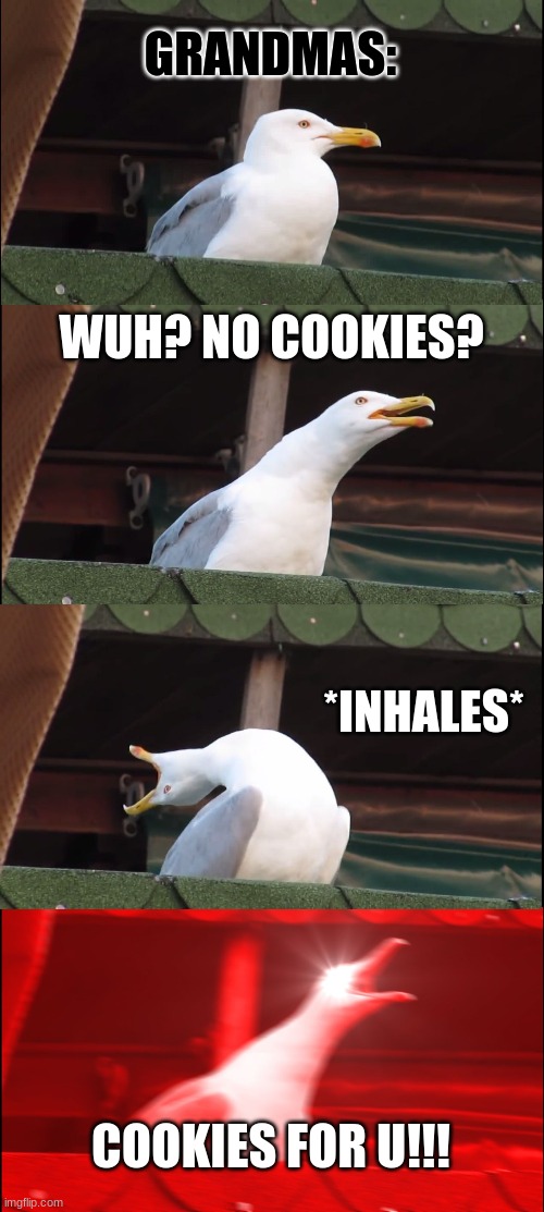 Inhaling Seagull Meme | GRANDMAS:; WUH? NO COOKIES? *INHALES*; COOKIES FOR U!!! | image tagged in memes,inhaling seagull | made w/ Imgflip meme maker