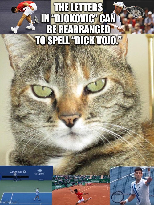Djokovic is an angry dick by default | THE LETTERS IN “DJOKOVIC” CAN BE REARRANGED TO SPELL “DICK VOJO.” | image tagged in kitty's thoughts and observations,memes,djokovic,tennis,angry,dick | made w/ Imgflip meme maker
