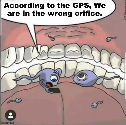 According to the GPS, We 
are in the wrong orifice. | made w/ Imgflip meme maker