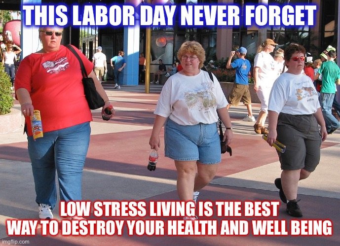 THIS LABOR DAY NEVER FORGET; LOW STRESS LIVING IS THE BEST WAY TO DESTROY YOUR HEALTH AND WELL BEING | made w/ Imgflip meme maker