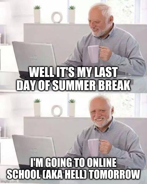 Yay, I'm gonna cry in the corner tomorrow | WELL IT'S MY LAST DAY OF SUMMER BREAK; I'M GOING TO ONLINE SCHOOL (AKA HELL) TOMORROW | image tagged in memes,hide the pain harold | made w/ Imgflip meme maker