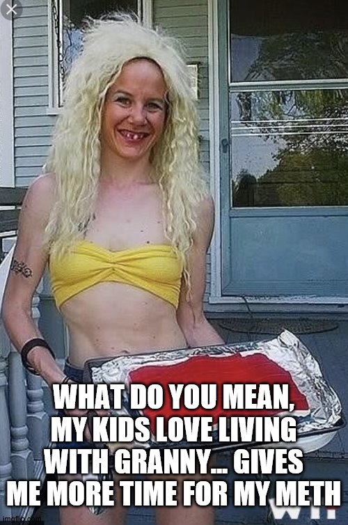 White Trash Princess | WHAT DO YOU MEAN, MY KIDS LOVE LIVING WITH GRANNY... GIVES ME MORE TIME FOR MY METH | image tagged in white trash princess | made w/ Imgflip meme maker
