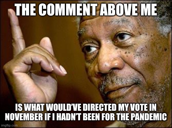 This Morgan Freeman | THE COMMENT ABOVE ME IS WHAT WOULD’VE DIRECTED MY VOTE IN NOVEMBER IF I HADN’T BEEN FOR THE PANDEMIC | image tagged in this morgan freeman | made w/ Imgflip meme maker
