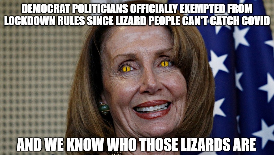 The lizard people | DEMOCRAT POLITICIANS OFFICIALLY EXEMPTED FROM LOCKDOWN RULES SINCE LIZARD PEOPLE CAN'T CATCH COVID; AND WE KNOW WHO THOSE LIZARDS ARE | image tagged in memes,funny,fun,2020,lizards | made w/ Imgflip meme maker