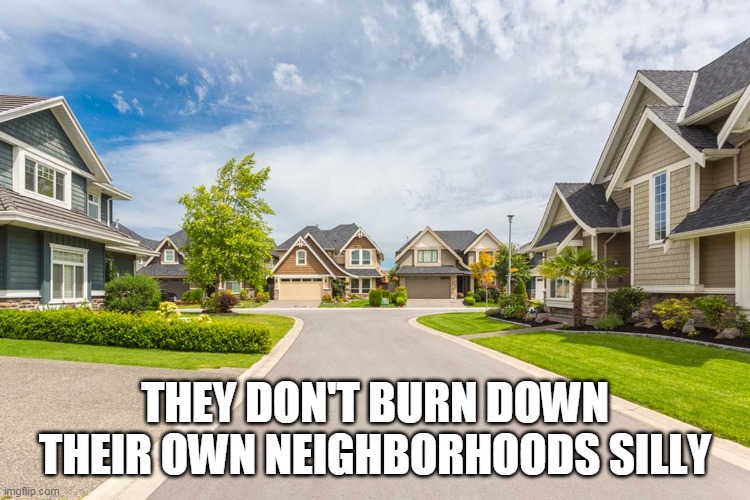 THEY DON'T BURN DOWN THEIR OWN NEIGHBORHOODS SILLY | made w/ Imgflip meme maker