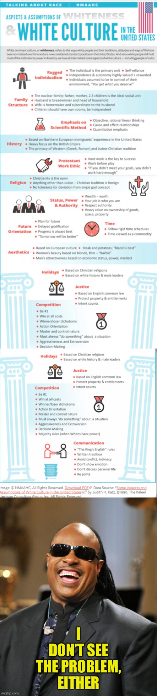 I DON’T SEE THE PROBLEM, EITHER | image tagged in stevie wonder | made w/ Imgflip meme maker