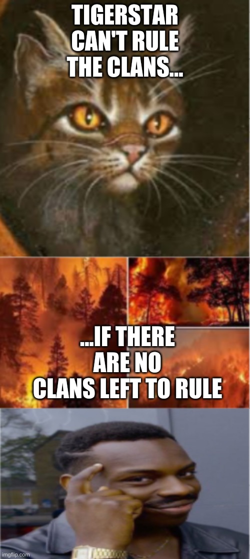 Tigerstar can't rule the clans. | TIGERSTAR CAN'T RULE THE CLANS... ...IF THERE ARE NO CLANS LEFT TO RULE | image tagged in warriors,warrior cats meme,warrior cats,tigerstar | made w/ Imgflip meme maker