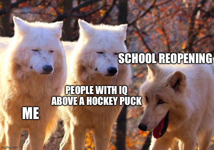 Grump Wolves | SCHOOL REOPENING; ME; PEOPLE WITH IQ ABOVE A HOCKEY PUCK | image tagged in grump wolves | made w/ Imgflip meme maker