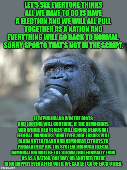 better get wise folks | LET'S SEE EVERYONE THINKS ALL WE HAVE TO DO IS HAVE A ELECTION AND WE WILL ALL PULL TOGETHER AS A NATION AND EVERYTHING WILL GO BACK TO NORMAL. SORRY SPORTO THAT'S NOT IN THE SCRIPT. IF REPUBLICANS WIN THE RIOTS AND LOOTING WILL CONTINUE. IF THE DEMOCRATS WIN WHOLE RED STATES WILL IGNORE DEMOCRAT FEDERAL MANDATES. WHATEVER SIDE LOSSES WILL CLAIM VOTER FRAUD AND DEMOCRAT EFFORTS TO PERMANENTLY RIG THE SYSTEM THROUGH ILLEGAL IMMIGRATION WILL BE THE STRAW THAT FORMALLY ENDS US AS A NATION. ONE WAY OR ANOTHER THERE IS NO HAPPILY EVER AFTER UNTIL WE CAN LET GO OF EACH OTHER. | image tagged in 2020 elections | made w/ Imgflip meme maker