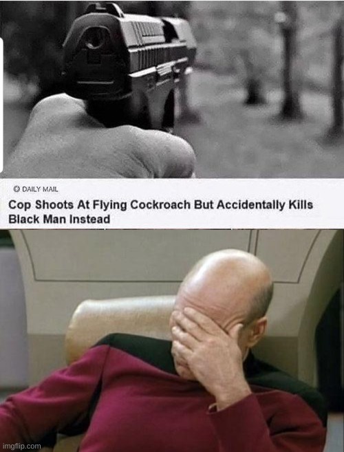 Cop shoots at flying cockroach ... | image tagged in memes,captain picard facepalm | made w/ Imgflip meme maker