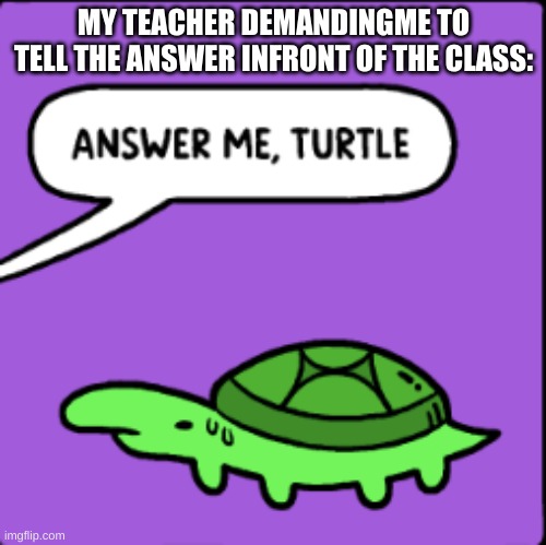 NO I WONT | MY TEACHER DEMANDINGME TO TELL THE ANSWER INFRONT OF THE CLASS: | image tagged in answer me turtle | made w/ Imgflip meme maker