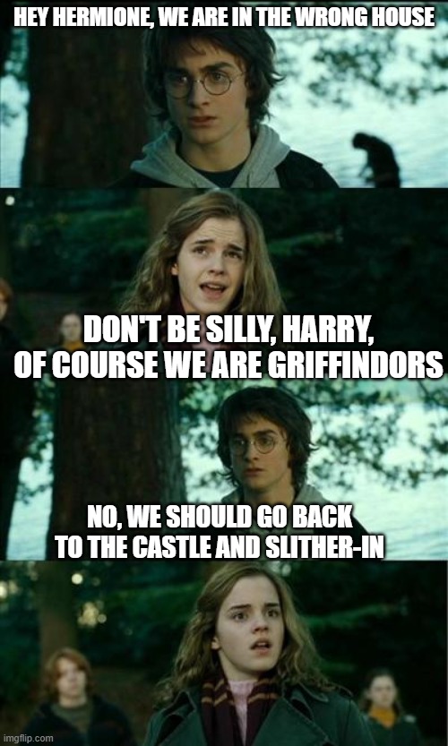 messed up convo (harry potter) | HEY HERMIONE, WE ARE IN THE WRONG HOUSE; DON'T BE SILLY, HARRY, OF COURSE WE ARE GRIFFINDORS; NO, WE SHOULD GO BACK TO THE CASTLE AND SLITHER-IN | image tagged in messed up convo harry potter | made w/ Imgflip meme maker