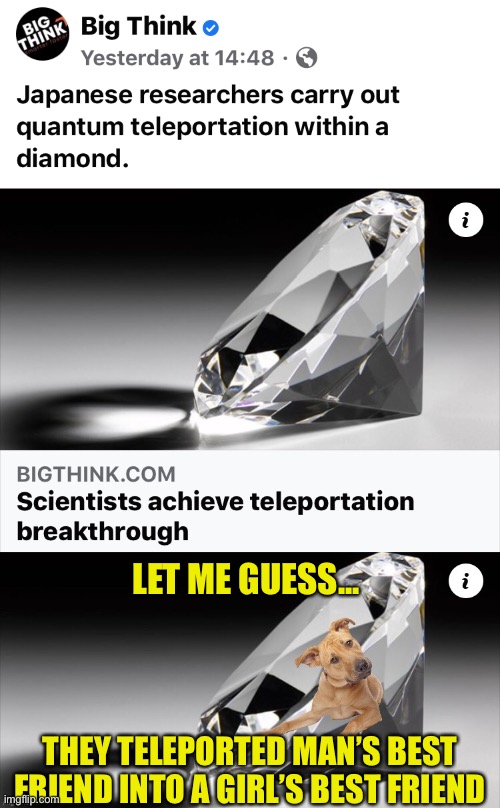 Win - Win | LET ME GUESS... THEY TELEPORTED MAN’S BEST FRIEND INTO A GIRL’S BEST FRIEND | image tagged in teleportation,dog,diamond,best friend,man,girl | made w/ Imgflip meme maker