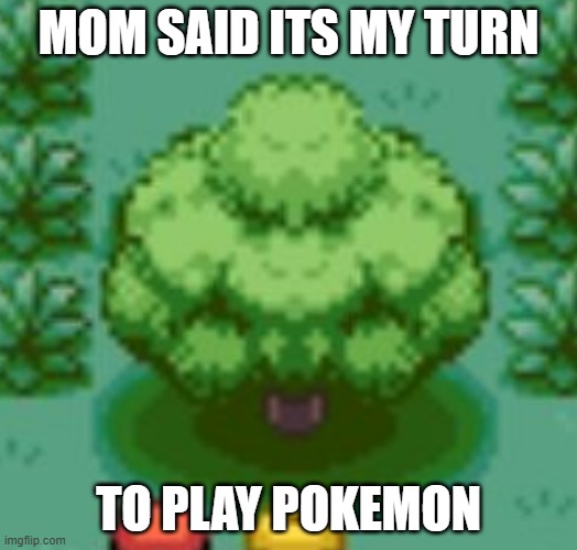 buff tree | MOM SAID ITS MY TURN; TO PLAY POKEMON | image tagged in pokemon,tree,buff,meme,funny | made w/ Imgflip meme maker