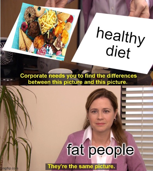 perfect diet | healthy diet; fat people | image tagged in memes,they're the same picture | made w/ Imgflip meme maker