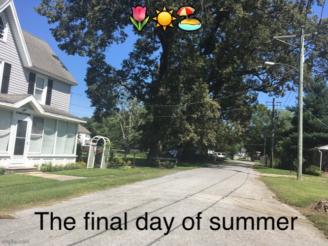 It’s the last day of summer where I live | 🌷☀️🏖 | image tagged in summer,wholesome,happy,school,online school,zoom | made w/ Imgflip meme maker