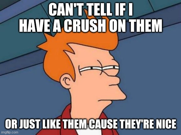 Futurama Fry Meme | CAN'T TELL IF I HAVE A CRUSH ON THEM; OR JUST LIKE THEM CAUSE THEY'RE NICE | image tagged in memes,futurama fry | made w/ Imgflip meme maker