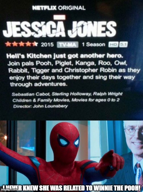 Nice description Netflix. | I NEVER KNEW SHE WAS RELATED TO WINNIE THE POOH! | image tagged in jessica jones,winnie the pooh,netflix,marvel,you had one job,spider-man | made w/ Imgflip meme maker