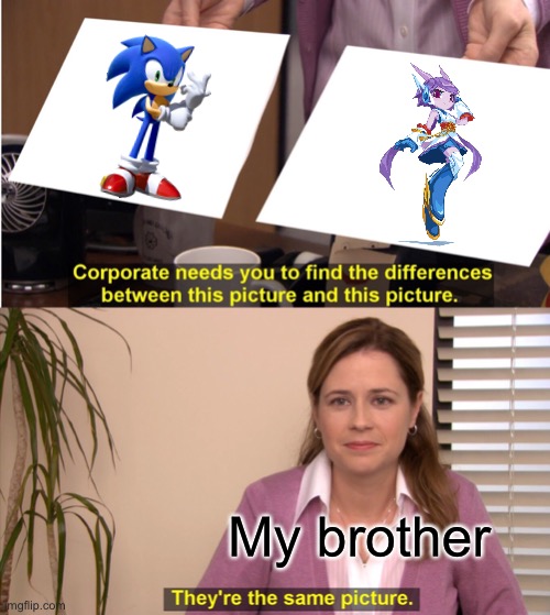 They really aren’t. | My brother | image tagged in memes,they're the same picture | made w/ Imgflip meme maker