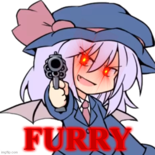 When you spot a furry in a roleplay server | FURRY | image tagged in touhou | made w/ Imgflip meme maker