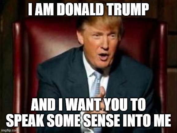 Donald Trump | I AM DONALD TRUMP AND I WANT YOU TO SPEAK SOME SENSE INTO ME | image tagged in donald trump | made w/ Imgflip meme maker
