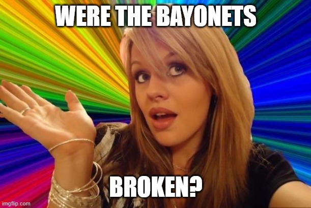 Dumb Blonde Meme | WERE THE BAYONETS BROKEN? | image tagged in memes,dumb blonde | made w/ Imgflip meme maker