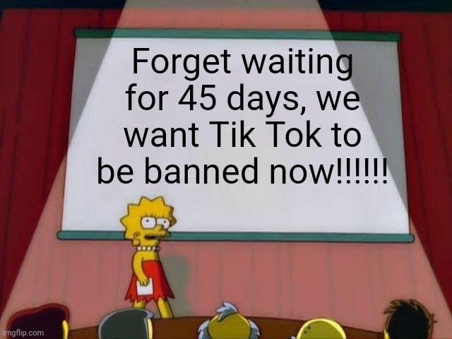 Lisa Simpson's Presentation | Forget waiting for 45 days, we want Tik Tok to be banned now!!!!!! | image tagged in lisa simpson's presentation | made w/ Imgflip meme maker