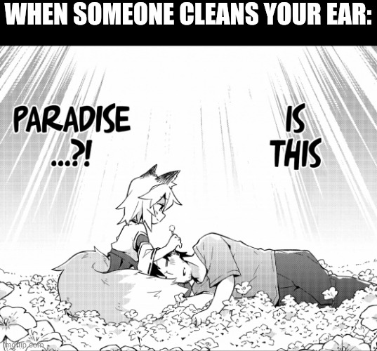 Clean | WHEN SOMEONE CLEANS YOUR EAR: | image tagged in clean | made w/ Imgflip meme maker