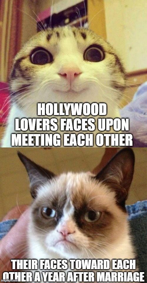this is true | HOLLYWOOD LOVERS FACES UPON MEETING EACH OTHER; THEIR FACES TOWARD EACH OTHER A YEAR AFTER MARRIAGE | image tagged in memes,grumpy cat,smiling cat,funny,lovers,divorce | made w/ Imgflip meme maker