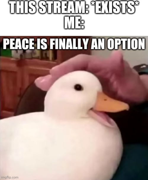 peace is finally an option | THIS STREAM: *EXISTS*
ME: | image tagged in peace is finally an option | made w/ Imgflip meme maker