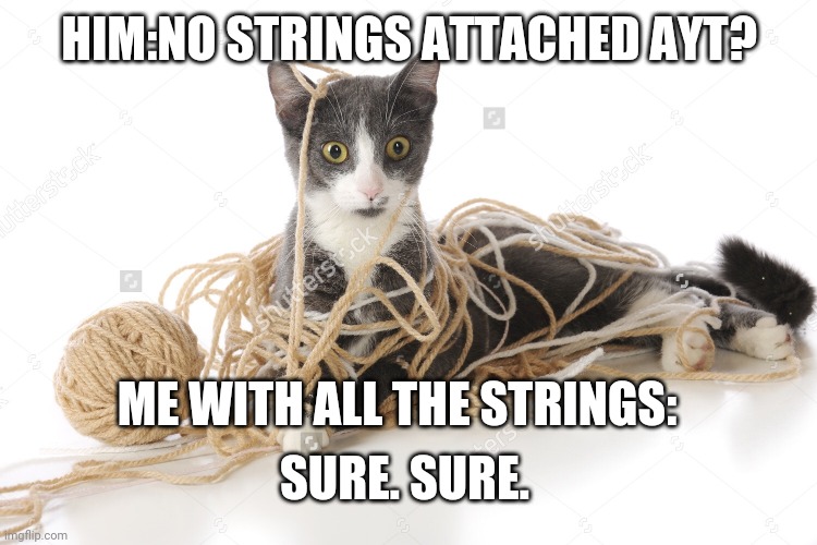 String | HIM:NO STRINGS ATTACHED AYT? ME WITH ALL THE STRINGS:; SURE. SURE. | image tagged in string | made w/ Imgflip meme maker