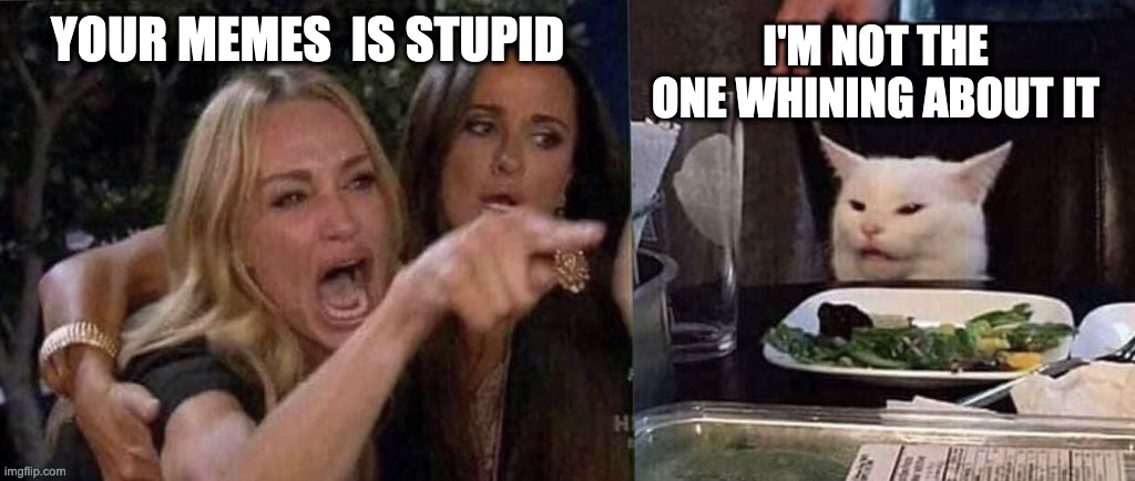 woman yelling at cat | YOUR MEMES  IS STUPID I'M NOT THE ONE WHINING ABOUT IT | image tagged in woman yelling at cat | made w/ Imgflip meme maker