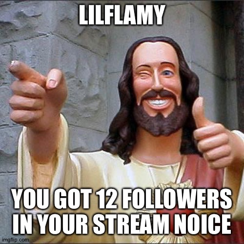 I meant 13 XD | LILFLAMY; YOU GOT 12 FOLLOWERS IN YOUR STREAM NOICE | image tagged in memes,buddy christ,stream | made w/ Imgflip meme maker