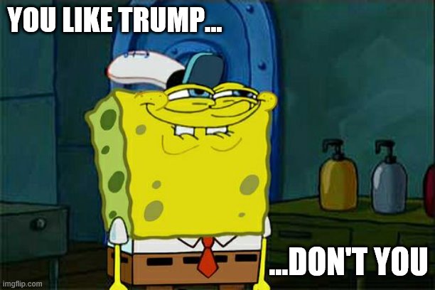 Trump Voater's Be Like | YOU LIKE TRUMP... ...DON'T YOU | image tagged in memes,don't you squidward | made w/ Imgflip meme maker