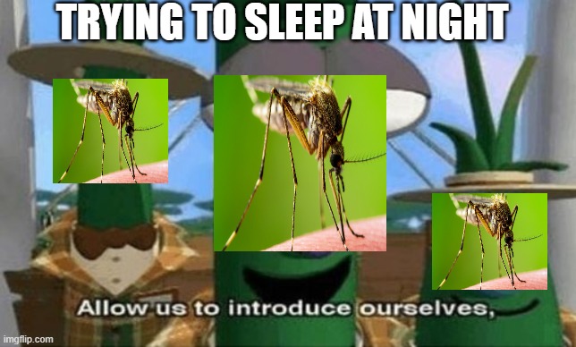 Allow Us to Introduce Ourselves | TRYING TO SLEEP AT NIGHT | image tagged in allow us to introduce ourselves | made w/ Imgflip meme maker