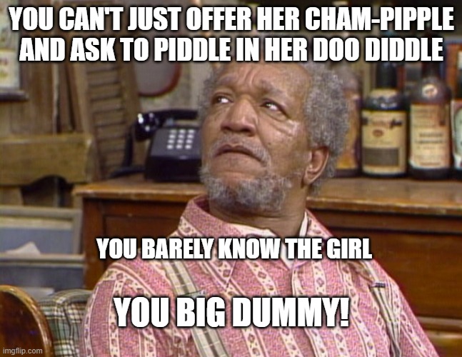 pee in the butt |  YOU CAN'T JUST OFFER HER CHAM-PIPPLE AND ASK TO PIDDLE IN HER DOO DIDDLE; YOU BARELY KNOW THE GIRL; YOU BIG DUMMY! | image tagged in sanford,dummy,funny | made w/ Imgflip meme maker