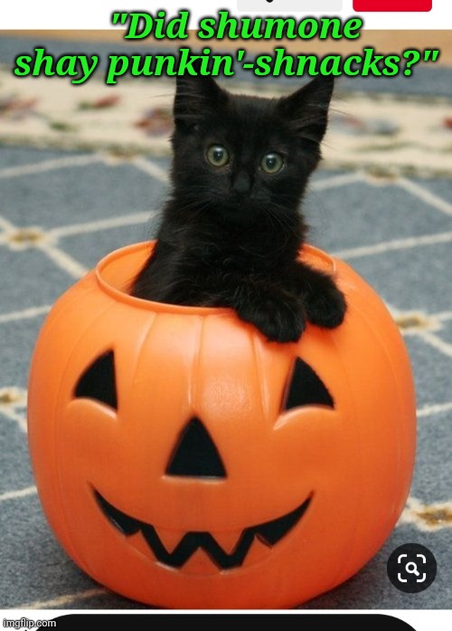 Halloween Kitty | "Did shumone shay punkin'-shnacks?" | image tagged in cute cat | made w/ Imgflip meme maker