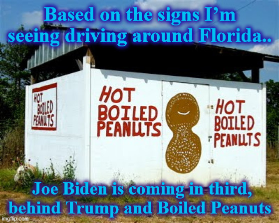 peanuts | Based on the signs I’m seeing driving around Florida.. Joe Biden is coming in third, behind Trump and Boiled Peanuts | image tagged in peanuts | made w/ Imgflip meme maker