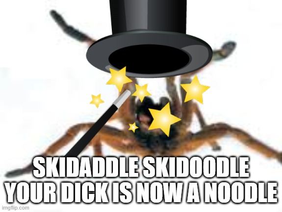 SKIDADDLE SKIDOODLE YOUR DICK IS NOW A NOODLE | made w/ Imgflip meme maker
