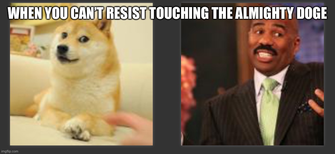 Touch the doge | WHEN YOU CAN’T RESIST TOUCHING THE ALMIGHTY DOGE | image tagged in doge | made w/ Imgflip meme maker