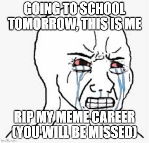 Me right now | GOING TO SCHOOL TOMORROW, THIS IS ME; RIP MY MEME CAREER (YOU WILL BE MISSED) | image tagged in school | made w/ Imgflip meme maker