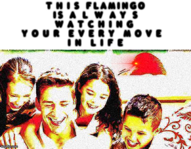 y o   t  e  n  g  o | T  H  I  S   F L A M I N G O
I S   A   L   W   A  Y   S
W  A  T  C  H  I  N  G 
Y  O  U  R    E  V  E  R  Y    M  O  V  E   
I  N    L  I  F  E | image tagged in cleetus is watching you sleep e v e r y   n i g h t | made w/ Imgflip meme maker