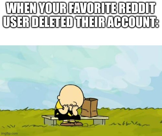 This is so sad | WHEN YOUR FAVORITE REDDIT USER DELETED THEIR ACCOUNT: | image tagged in depressed charlie brown | made w/ Imgflip meme maker