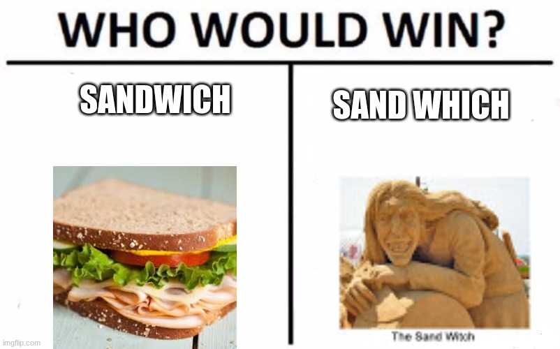 who would win | SANDWICH; SAND WHICH | image tagged in memes,who would win | made w/ Imgflip meme maker