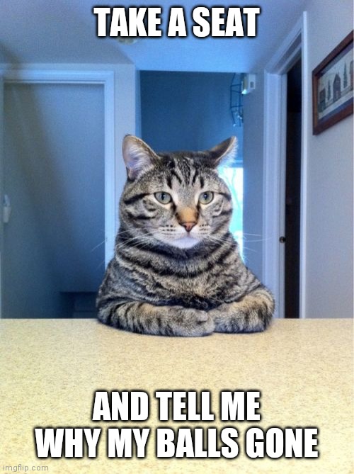 Take A Seat Cat |  TAKE A SEAT; AND TELL ME WHY MY BALLS GONE | image tagged in memes,take a seat cat | made w/ Imgflip meme maker