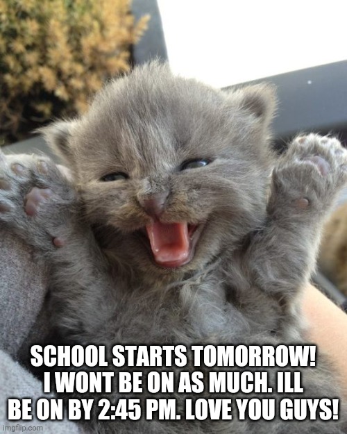 I know what you guy are feeling | SCHOOL STARTS TOMORROW! I WONT BE ON AS MUCH. ILL BE ON BY 2:45 PM. LOVE YOU GUYS! | image tagged in yay kitty,im a high schooler | made w/ Imgflip meme maker
