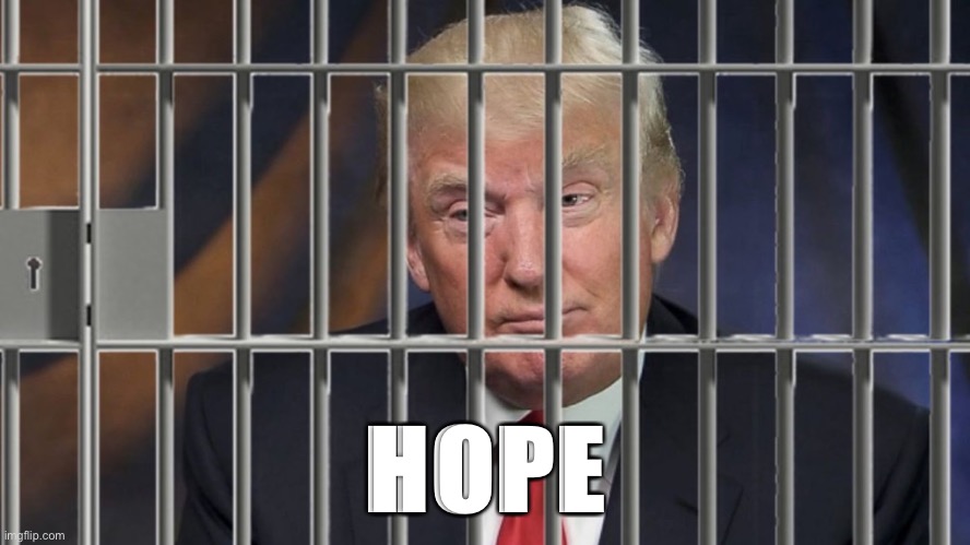 Trump Behind Bars | HOPE | image tagged in trump behind bars | made w/ Imgflip meme maker